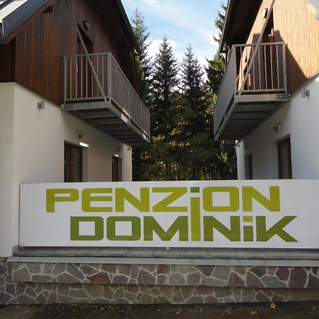 Penzion Dominik Zelezna Ruda Exterior photo