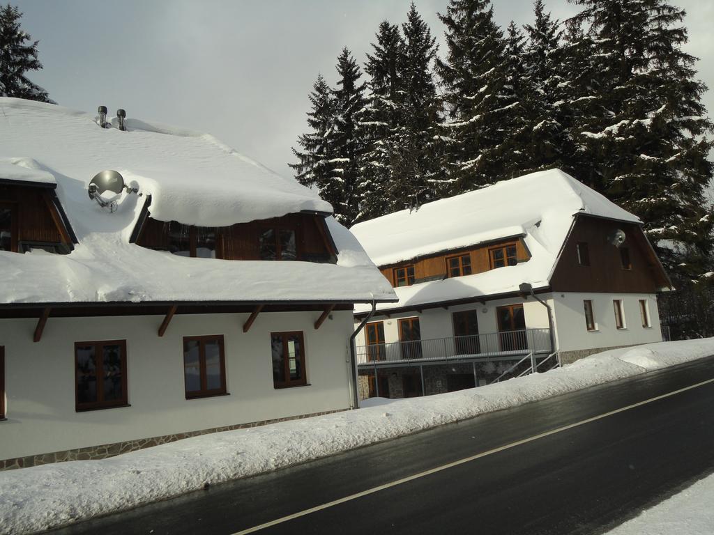 Penzion Dominik Zelezna Ruda Exterior photo