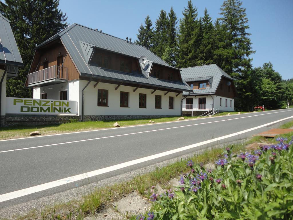 Penzion Dominik Zelezna Ruda Exterior photo