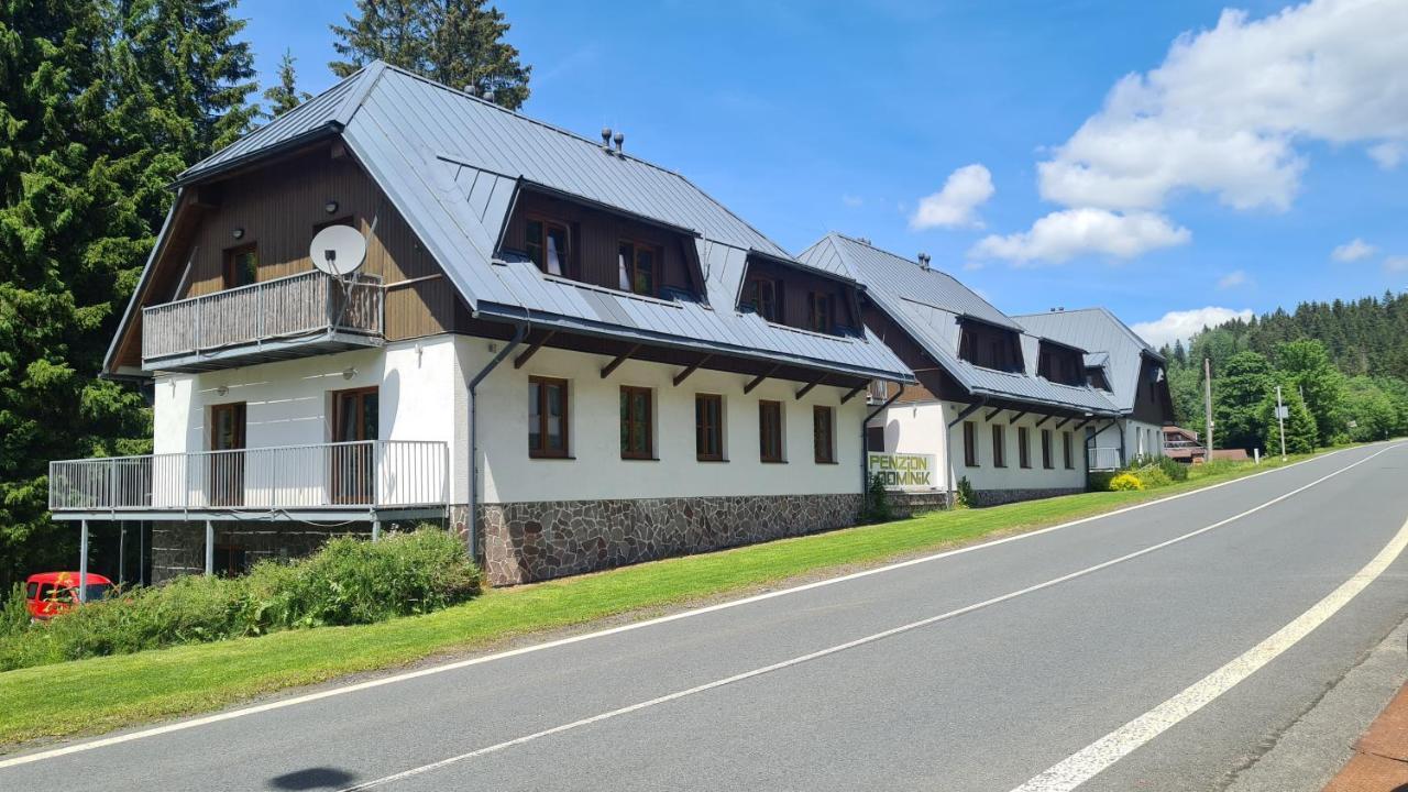 Penzion Dominik Zelezna Ruda Exterior photo