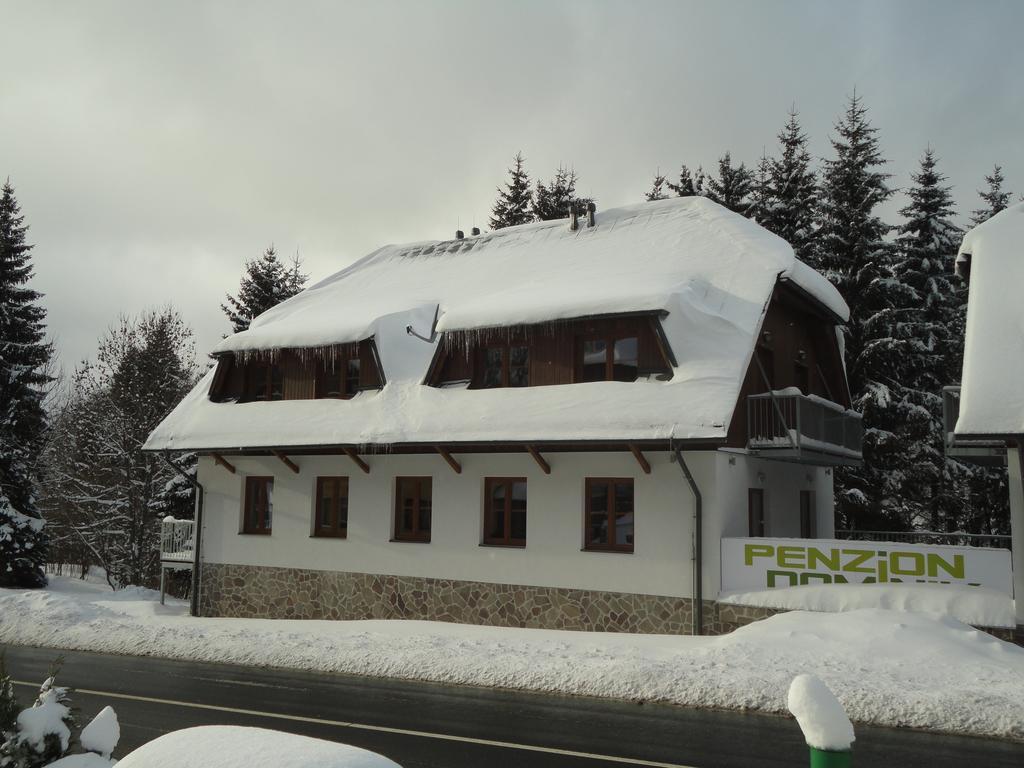 Penzion Dominik Zelezna Ruda Exterior photo